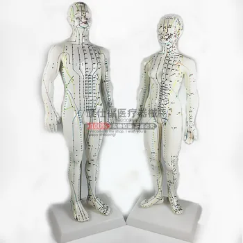Akupunktúrne body ľudského tela model 50 cm muž alebo žena modely jasné, meridiány ľudského akupunktúra model
