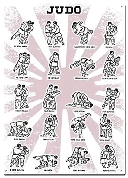 Judo Techniky Dojo Dekor Kovov Cín Príznaky,Bojové Umenie, Stálofarebné Plagáty, Dekoračné Tabule, Nástenné Art, Home Decor - opasok 8x12 Palcový (