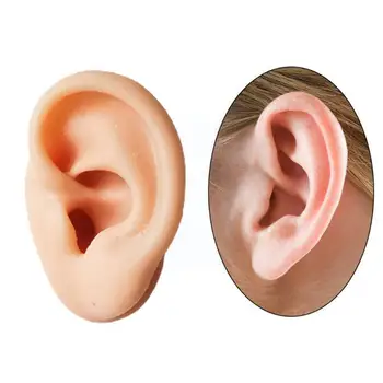 Mäkké Silikónové Simulácia Ľudské Ucho Ucho Model Ucha Akupunktúra Rekvizity Model Zobraziť Lekárske Výučby Slúchadlá, Pričom Stud X5Z4