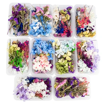 Skutočný Mix Sušených Kvetov, Rastlín Pre Živicové Šperky Suché Rastliny Lisované Kvety, Takže Plavidlá DIY Photo Frame Príslušenstvo