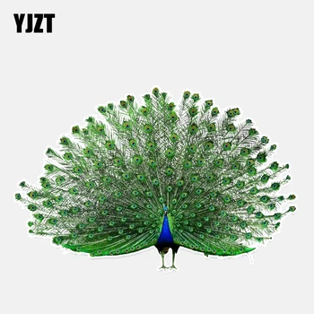 YJZT 16.7*11 CM Najlepších Vtákov Farebný Páv Dekor Auto Nálepky Grafické Prispôsobené Príslušenstvo 11A0005