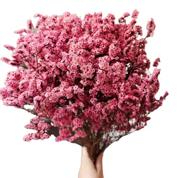 Čerstvé, Konzervované Crystal Trávy Prírodné Sušené Kvety Večný Suchý Kvet Manželstva Svadobné Dekorácie, Party, Bytové Doplnky