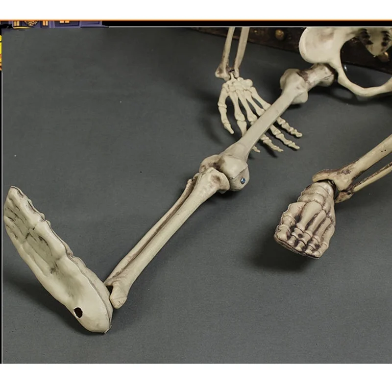 Veľkoobchod Flexibilné Lekárske Človeka Anatomické Anatómie Kostra Model Lekárske Učiť Pomoc Anatómia Umenie Náčrt 14 cm Obrázok 1