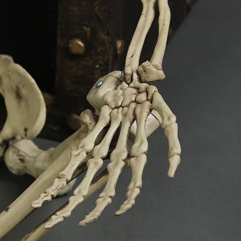 Veľkoobchod Flexibilné Lekárske Človeka Anatomické Anatómie Kostra Model Lekárske Učiť Pomoc Anatómia Umenie Náčrt 14 cm Obrázok 4