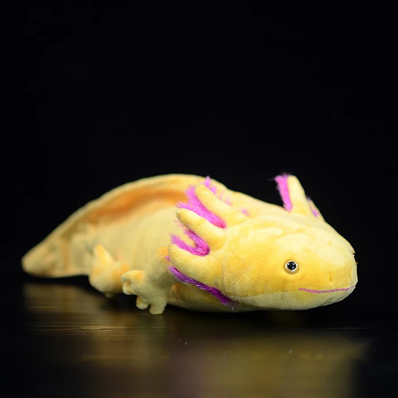 Nové Axolotl Mäkké Mäkké Plyšové Hračky Realistické Simulácie Ambystoma Mexicanum Ružový Dinosaurus Animal Model Bábiky Pre Deti Audlt Darček Obrázok 3