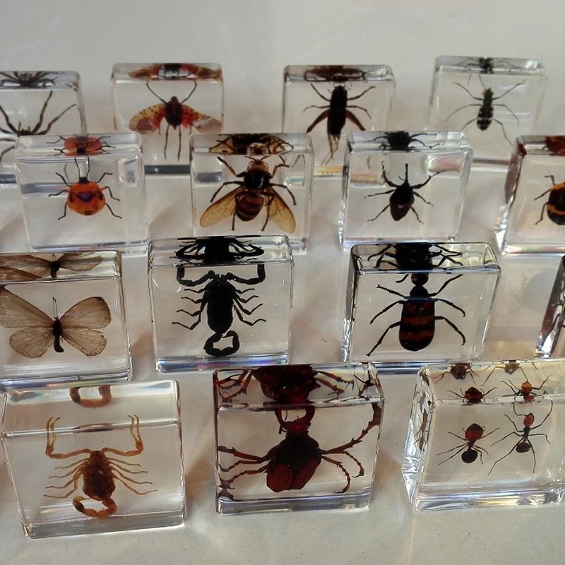 Umelé Amber Hmyzu Vzor Mravce, Chrobáky Scorpion Kriket Batoľa Kognitívne Hračky Biológie Vyučovanie Domáce Dekorácie, Ozdoby Obrázok 0