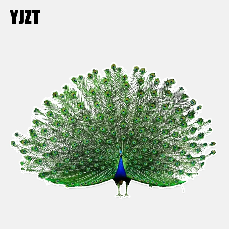 YJZT 16.7*11 CM Najlepších Vtákov Farebný Páv Dekor Auto Nálepky Grafické Prispôsobené Príslušenstvo 11A0005 Obrázok 0